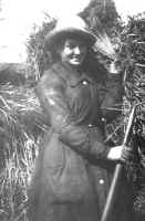 Eirian hay making.J2PG.jpg (70984 bytes)