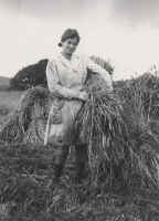 eirian with hay cocks2.JPG (66846 bytes)